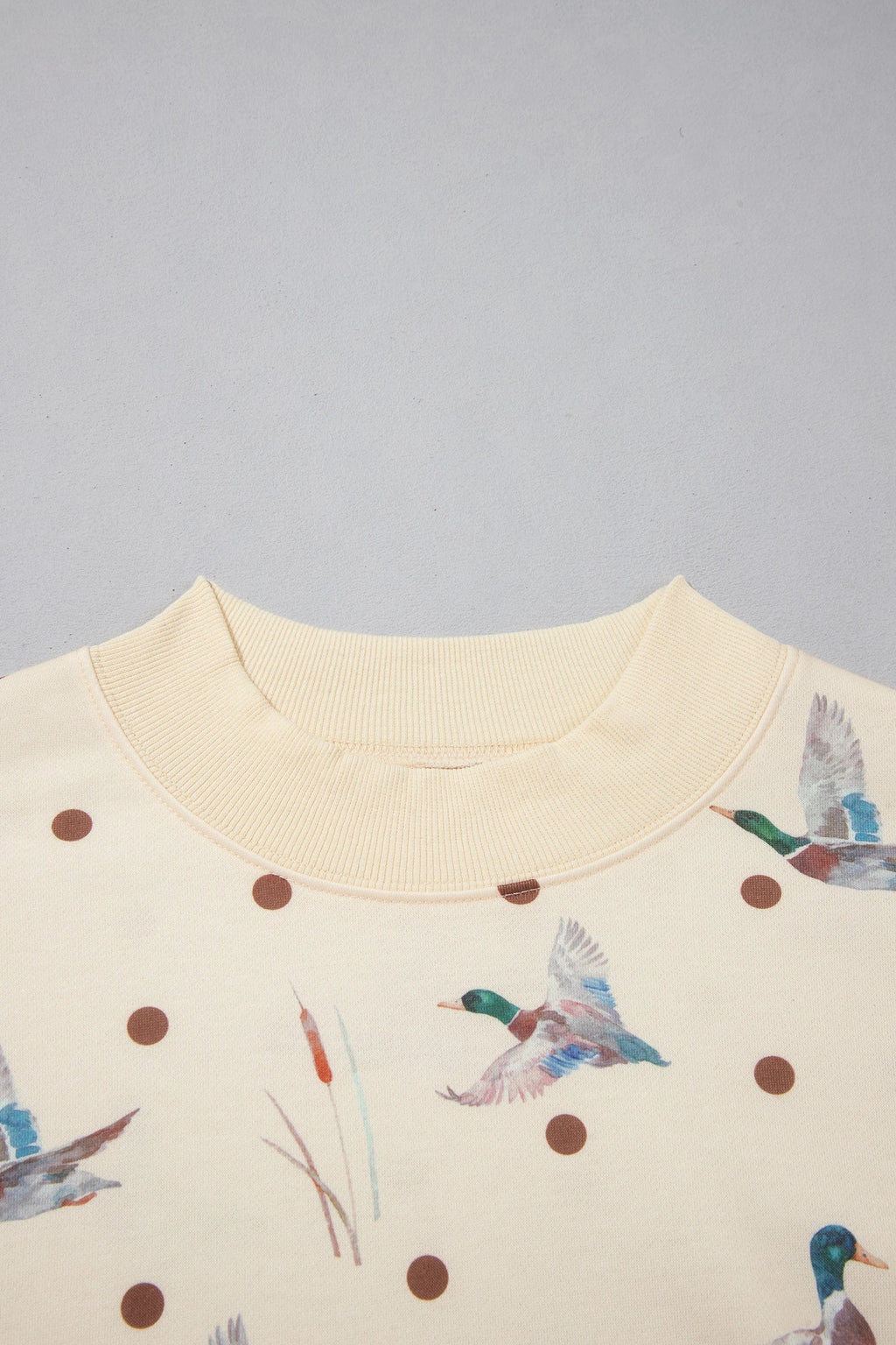 Mallard Polka Dot Sweatshirt & Pants Set